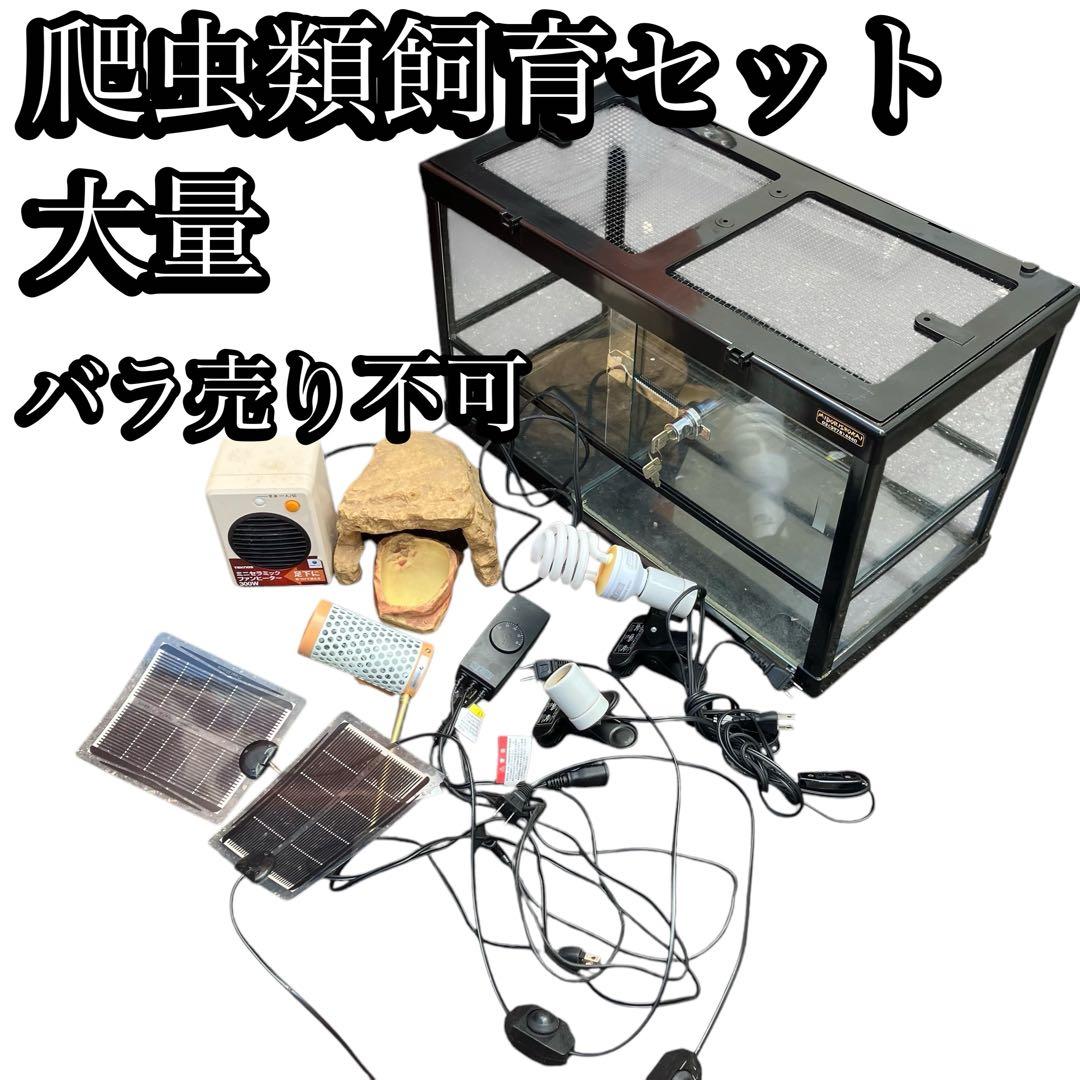 爬虫類飼育セット　ケージ　ヒーター　ライト　照明　サーモスタット　隠れ家等