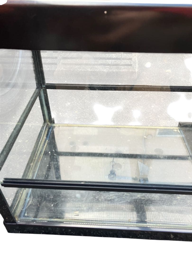 爬虫類飼育セット　ケージ　ヒーター　ライト　照明　サーモスタット　隠れ家等