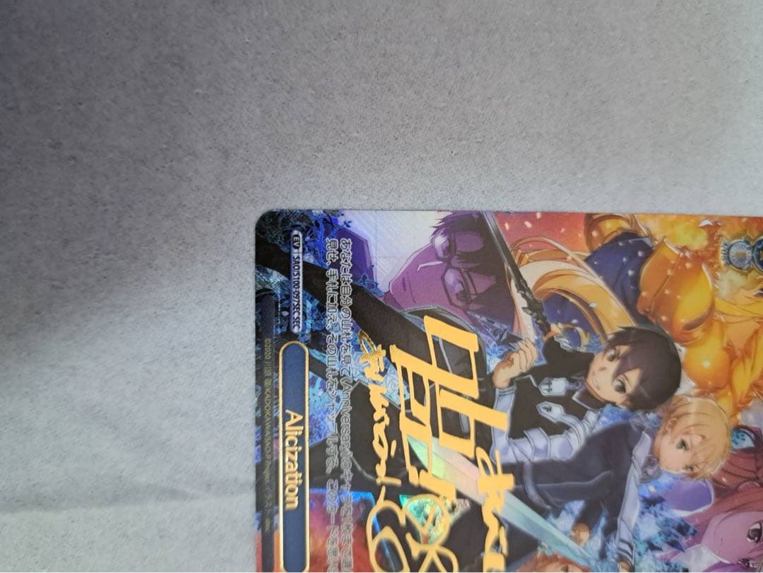 ゲ*！様 ヴァイス　ソードアートオンライン　10th Alicization　サ