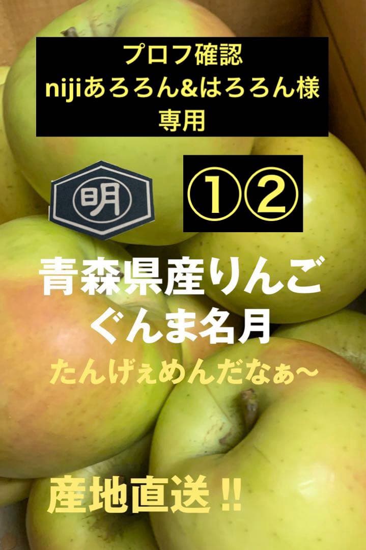 青森県産りんご【ぐんま名月】511.512家庭用5kg×2箱 プロフ確認