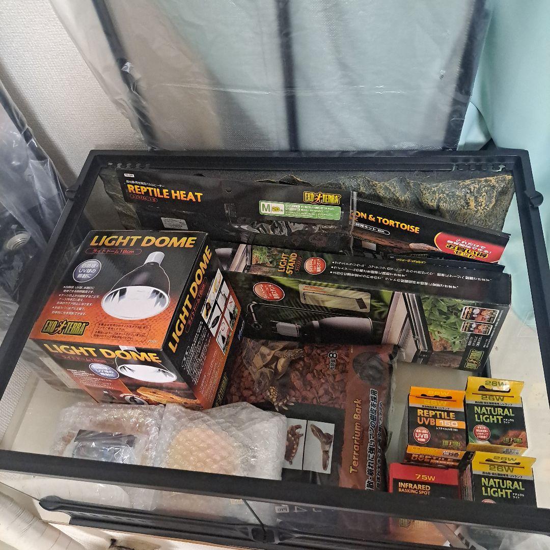 GEX EXOTERRA フトアゴヒゲトカゲ＆リクガメ 飼育キット BK