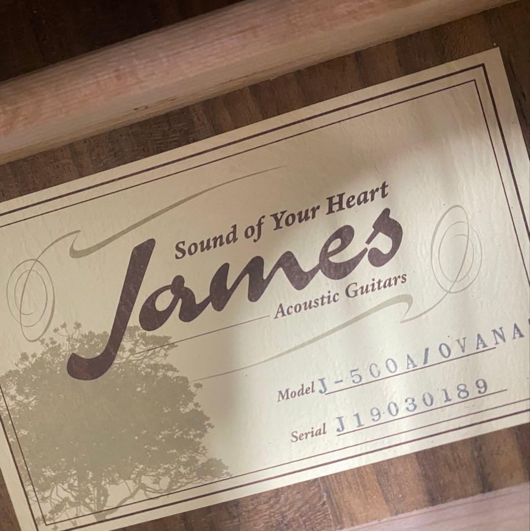 James ジェームス アコースティックギター J-500A/OVANAT