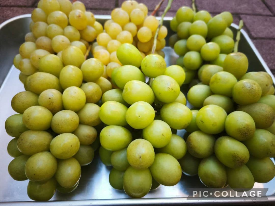 ご購入相談窓口