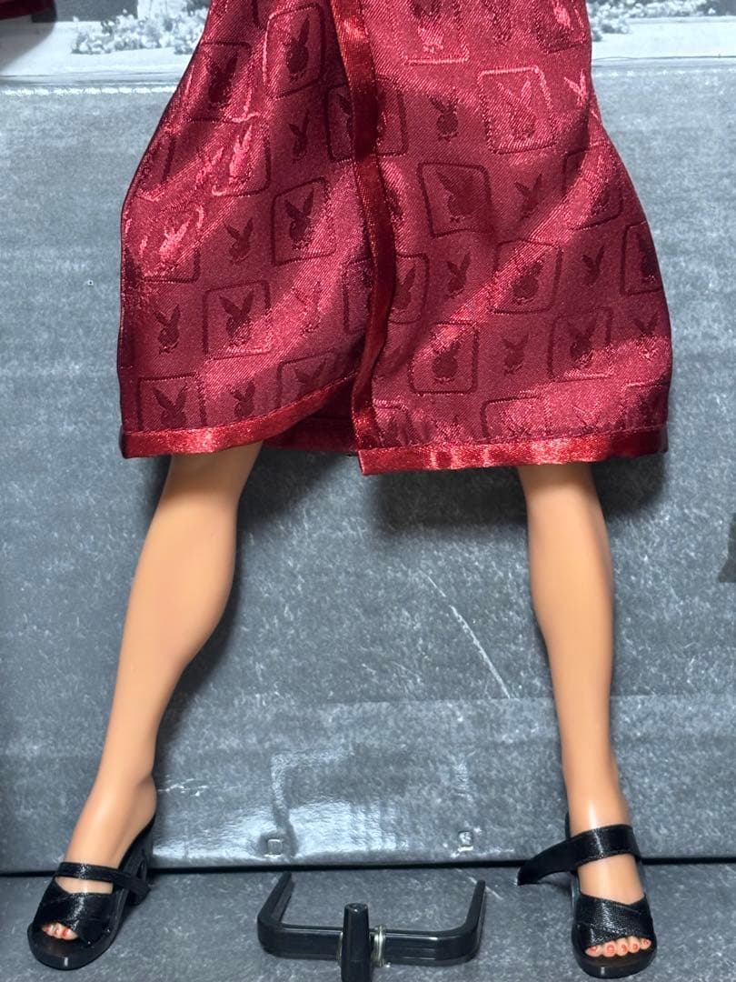 その他 PLAYBOY Playmate 1997 Victoria Silvstedt