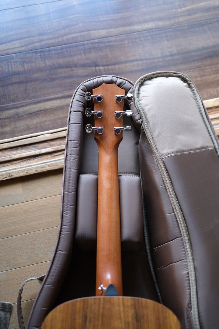 Taylor LTD GS Mini 限定モデル