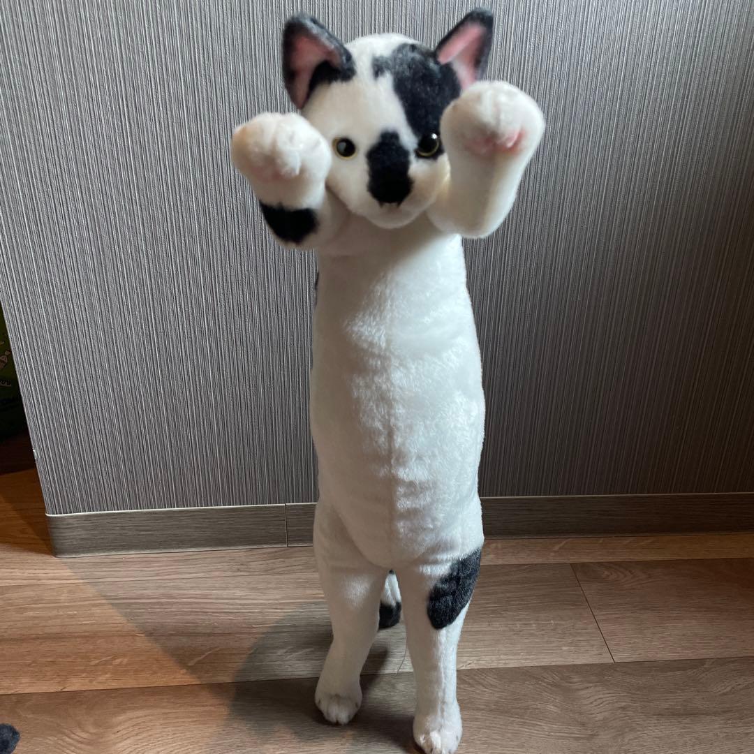 たっちい　Zoo にゃんこ ぬいぐるみ まとめ売り 自立する猫　ぬいぐるみ
