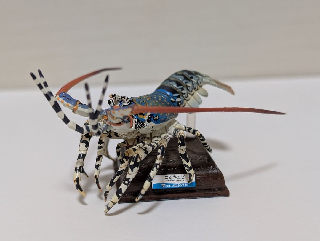 鳥羽水族館ガチャ ニシキエビ