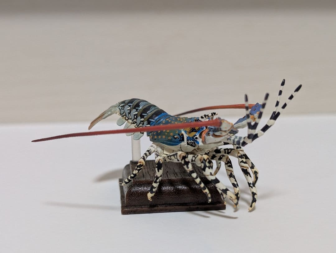 鳥羽水族館ガチャ ニシキエビ