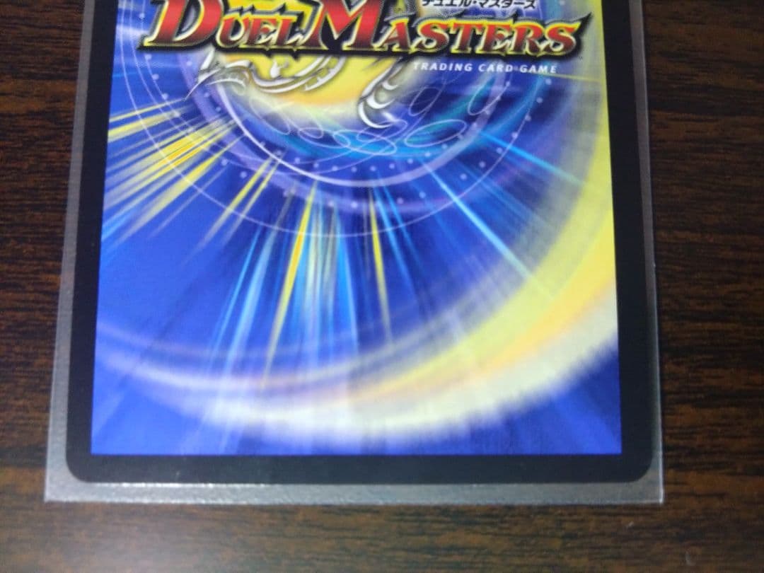 シャコガイル　a 2枚