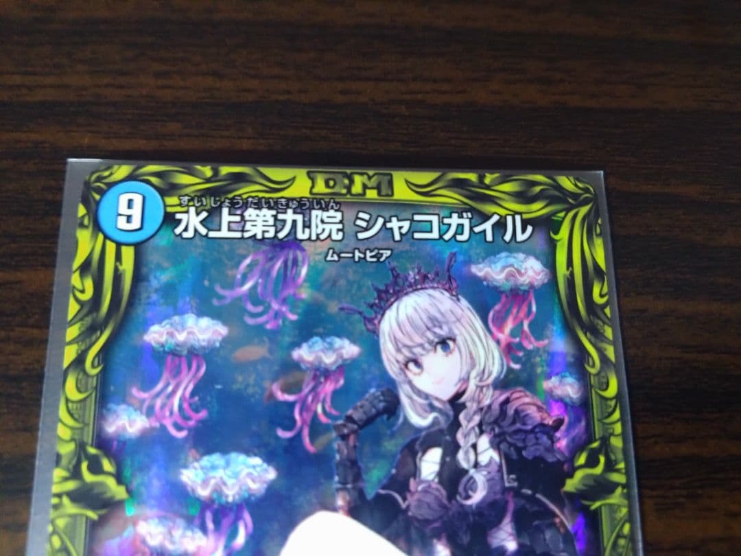 シャコガイル　a 2枚