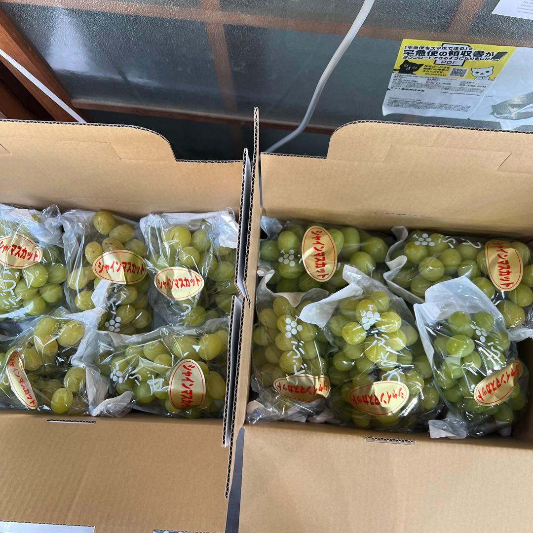 りこシャインマスカット4946g送料チルド込み