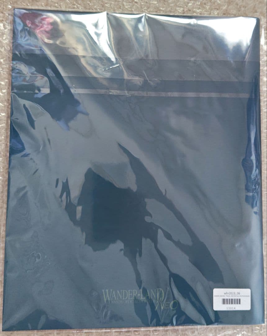 新品未開封！WANDSファンミFANDS 2023 フォトブック