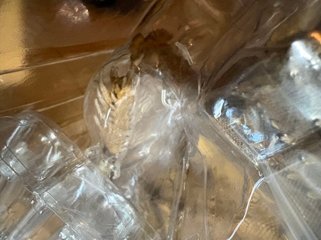 HIYA TOYS ハイヤトイズ ゴジラ キングオブモンスターズ キングギドラ