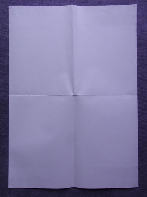 非売品　ポスター　MTG　世界選手権開催記念　スペシャル土地カード　当時物