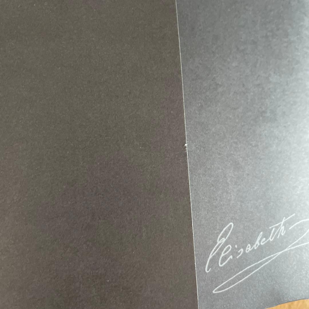 宝塚 エリザベート コンプリートBOX DVD無し