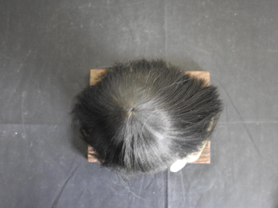 童人形　４４５