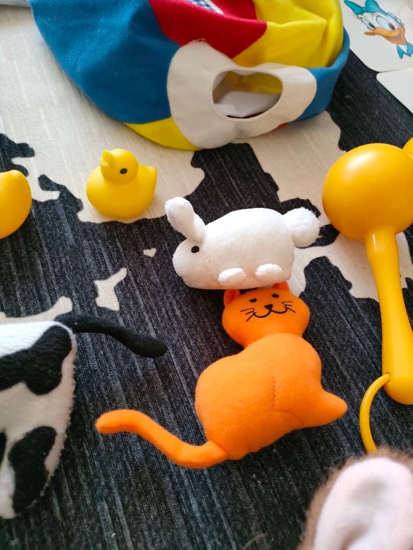 プレイアロング　Play Along! ワールドファミリー 新子役 DWE