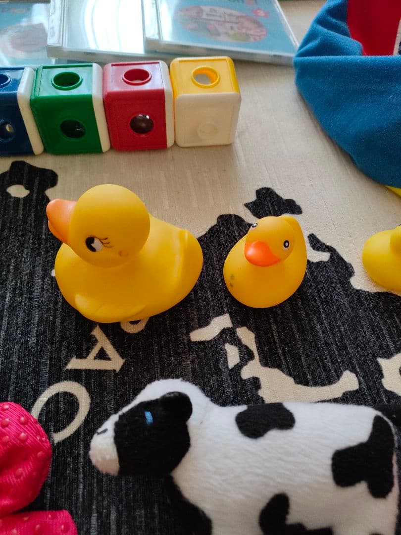 プレイアロング　Play Along! ワールドファミリー 新子役 DWE