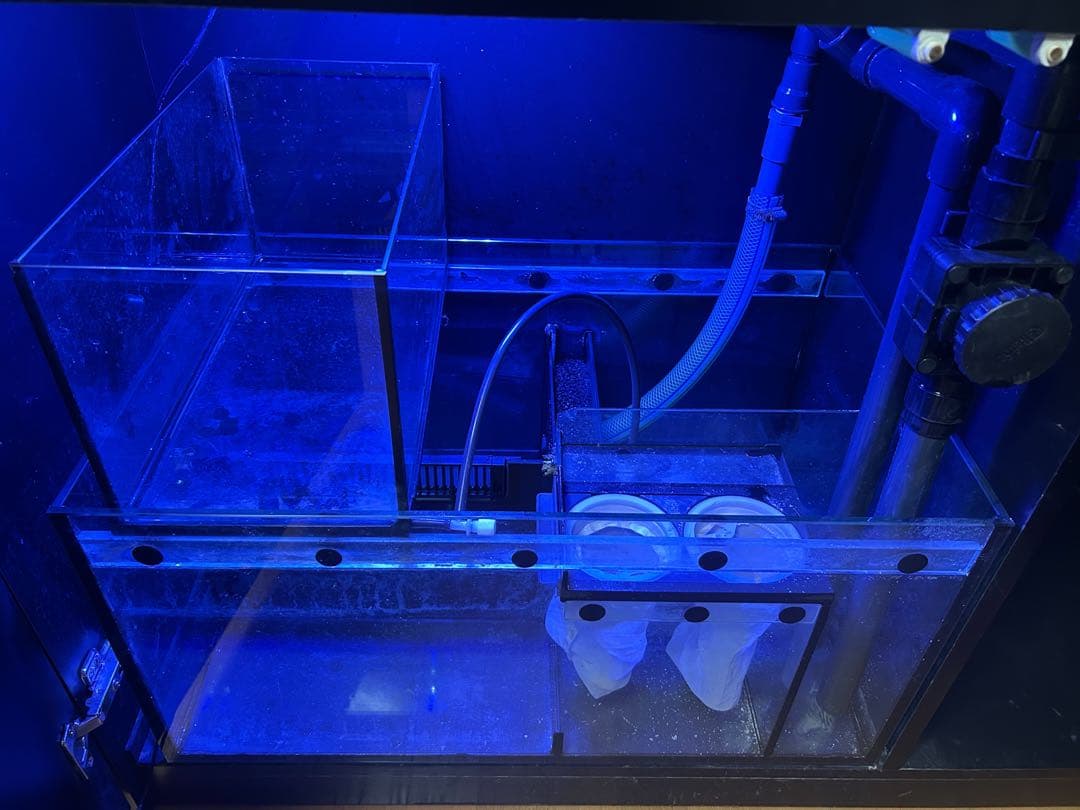 水槽 Red Sea REEFER 350