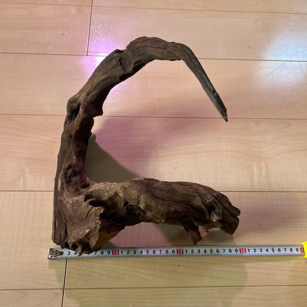 ADA ホーンウッド　L〜XL サイズ