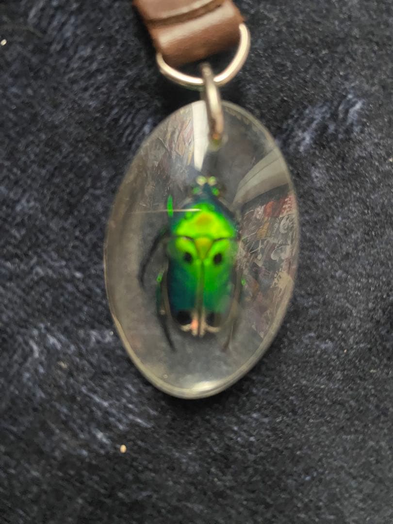 昆虫標本キーホルダー 緑色