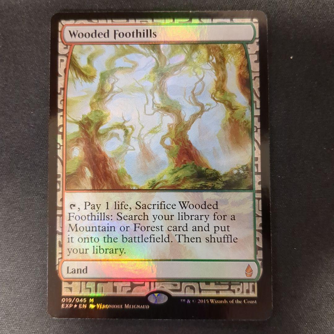 MTG 樹木茂る山麓 EXP 英語版 Foil
