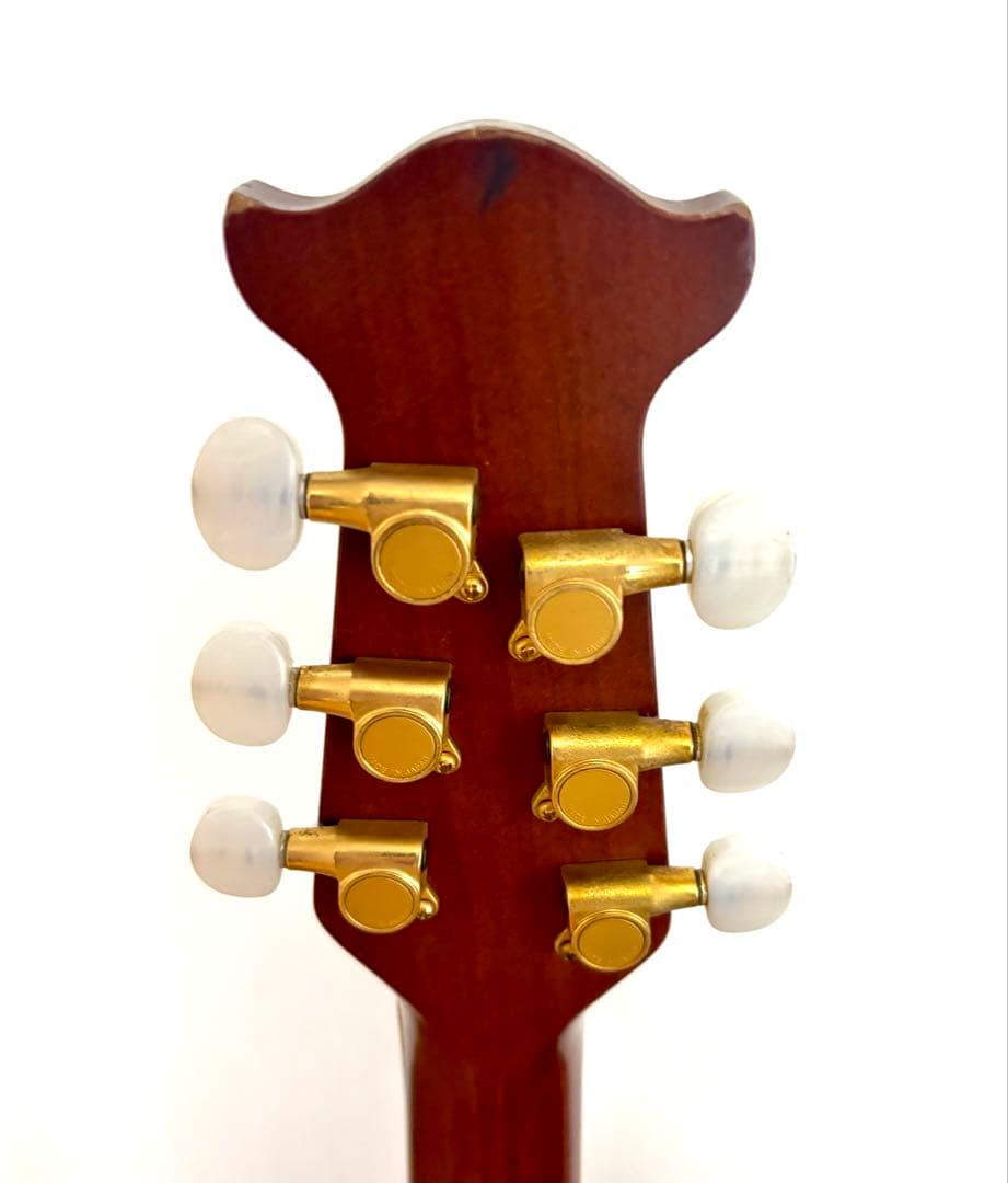 MORRIS TORNADO ZⅡ エレアコギター JAPAN VINTAGE