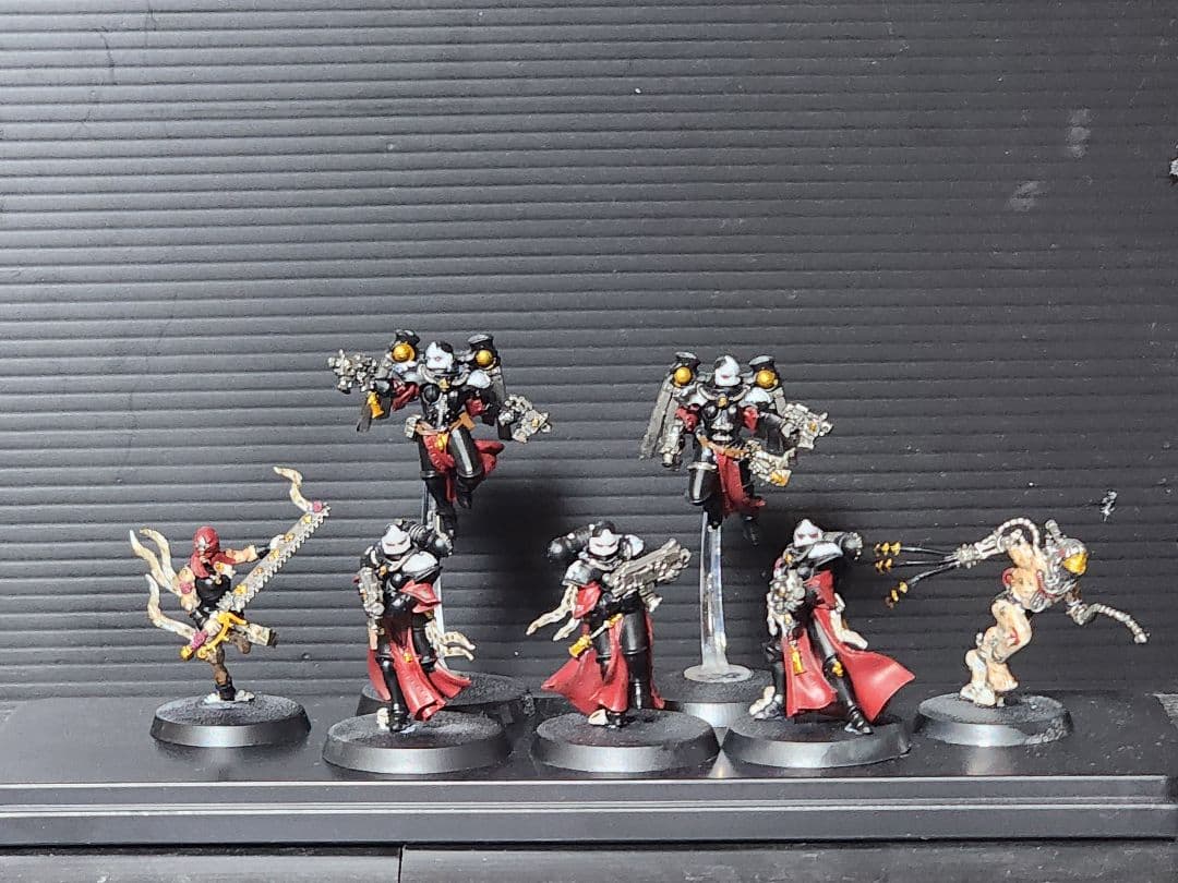 週刊ウォーハンマー　アデプタ•ソロリタス全種類塗装済み、ケース付き。バラ売り不可