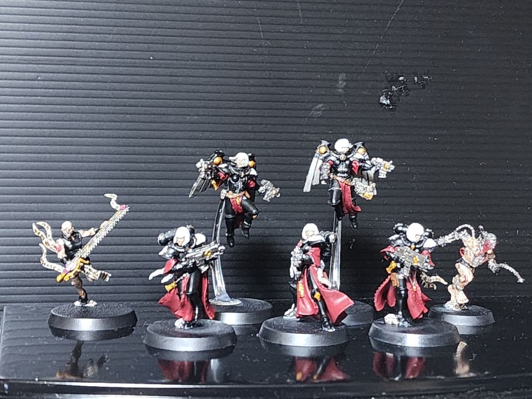 週刊ウォーハンマー　アデプタ•ソロリタス全種類塗装済み、ケース付き。バラ売り不可