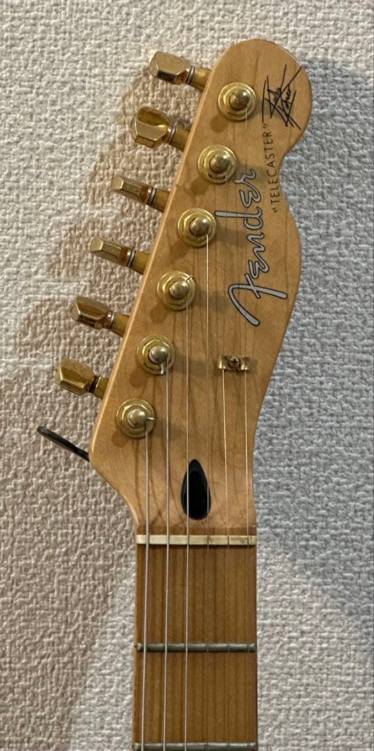 【美品】 Fender Richie Kotzen Telecaster