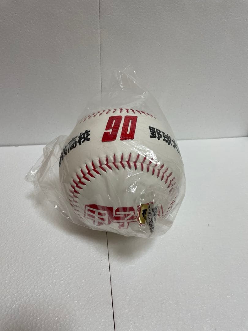 第90回記念選抜高等学校野球大会 2018 記念品10点セット