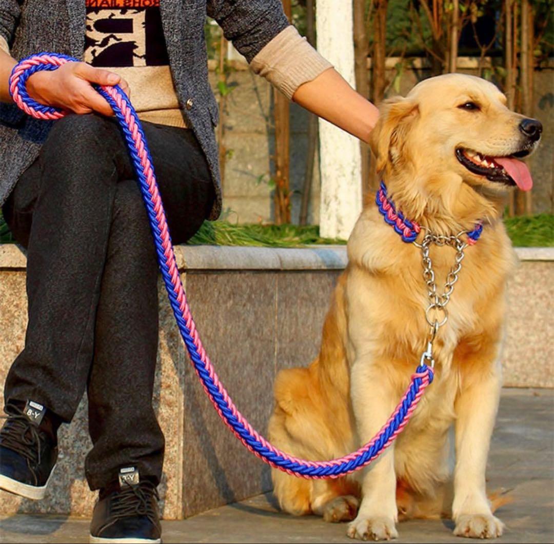 ハーフチョーク＆リードセット 首輪