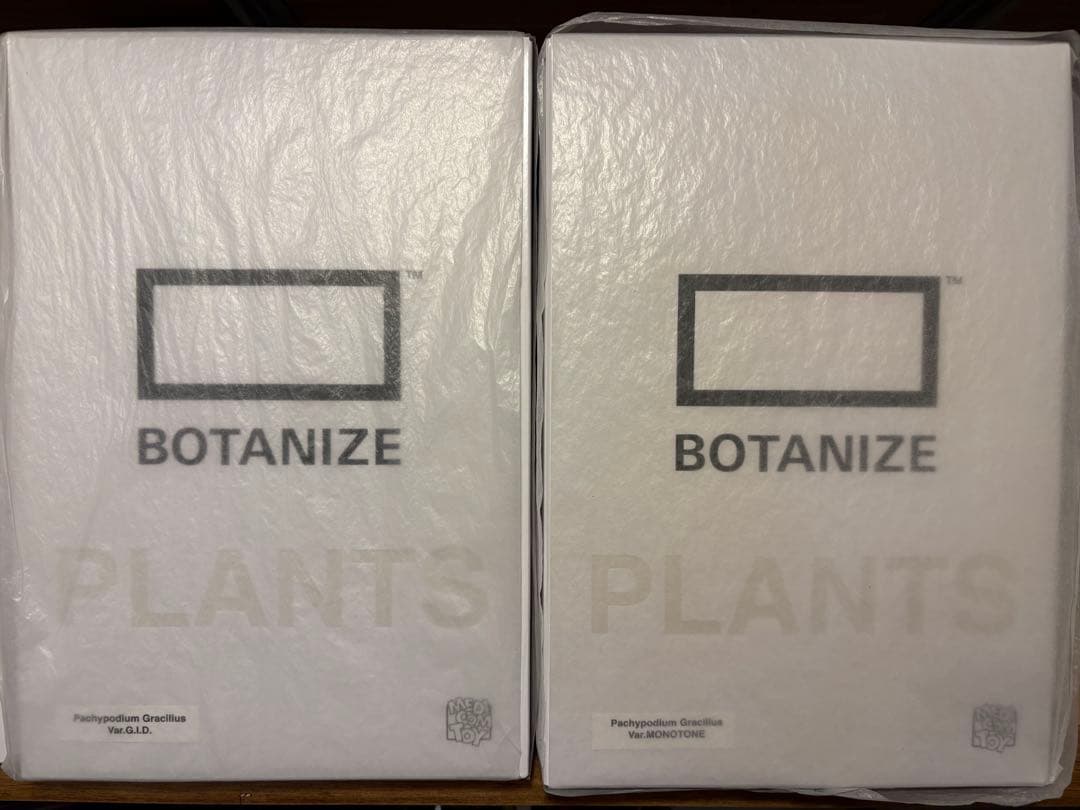 【新品未開封】ボタナイズ　メディコムトイ　モノトーン　G.I.D 2体セット