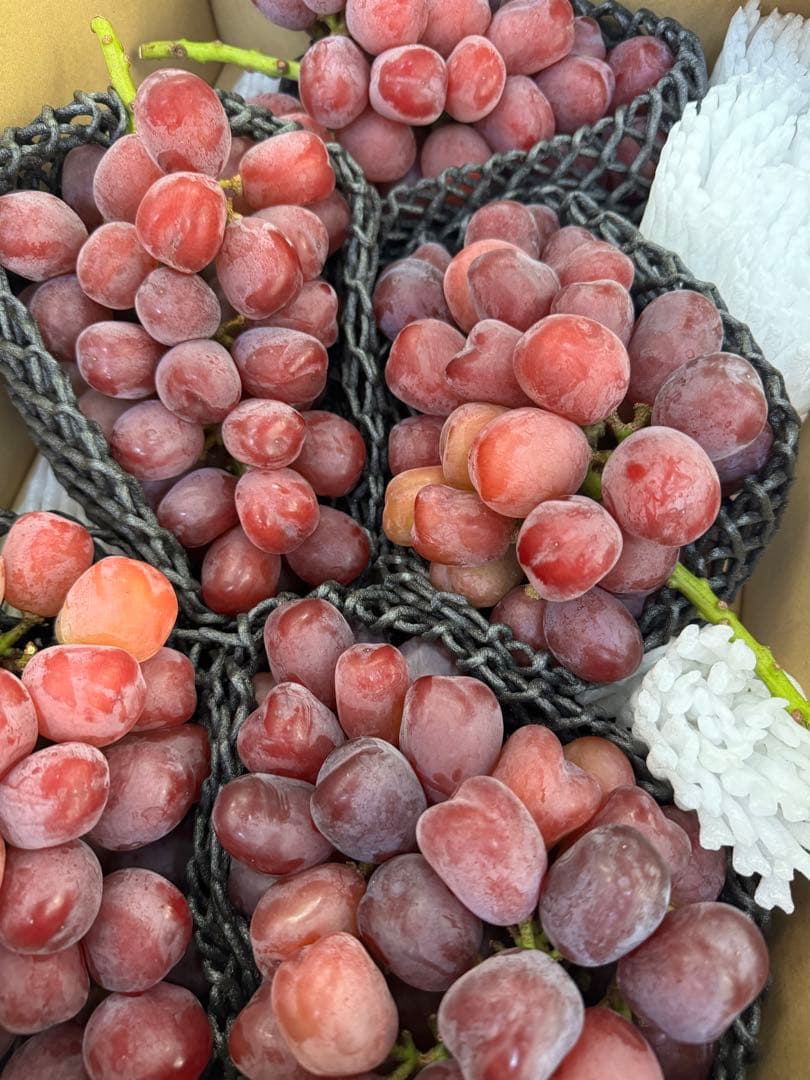 山梨県産ぶどう⭐️富士の輝⭐️5房入り 箱込み約4.7キロ