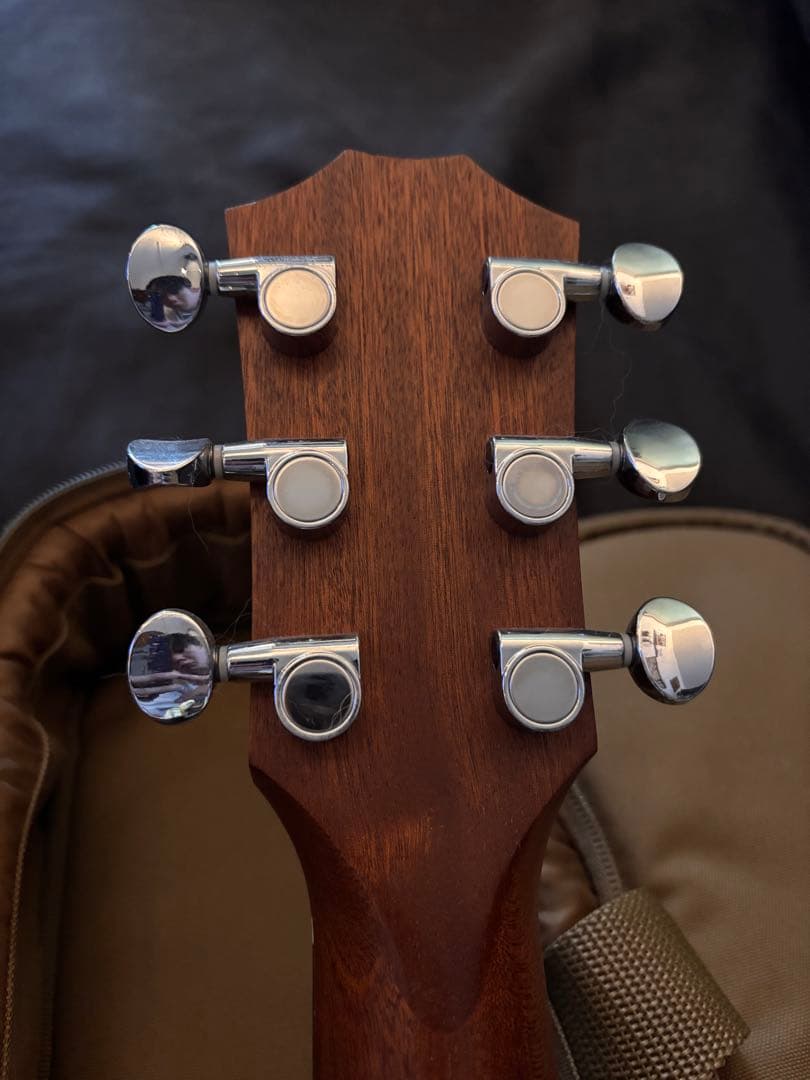 Taylor GS Mini-e RoseWood ES2テイラー