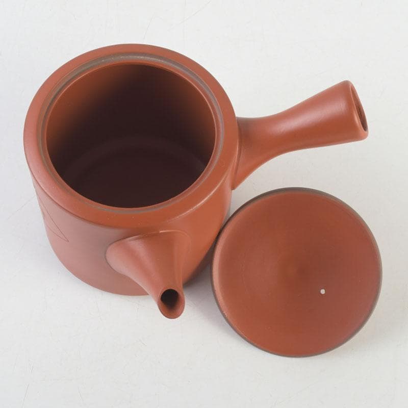 煎茶道具　常滑焼　朱泥　漢詩竹刻　横手急須　V　9580