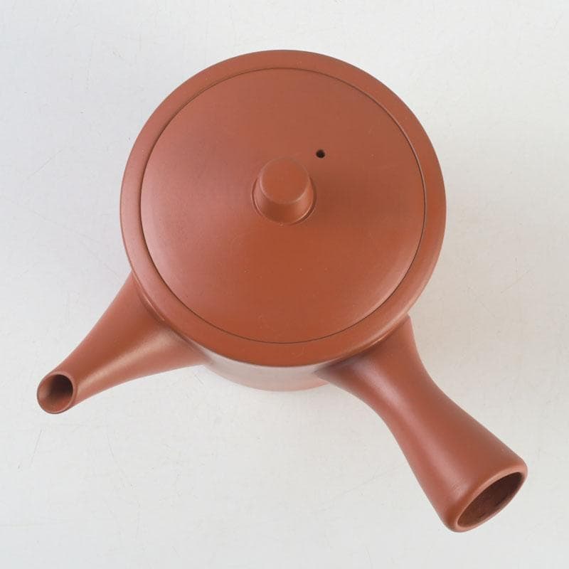 煎茶道具　常滑焼　朱泥　漢詩竹刻　横手急須　V　9580