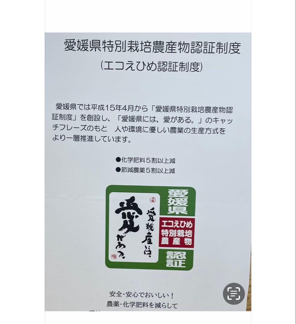 令和7年度愛媛県産コシヒカリ10k 特別栽培米　エコえひめ(一等米)