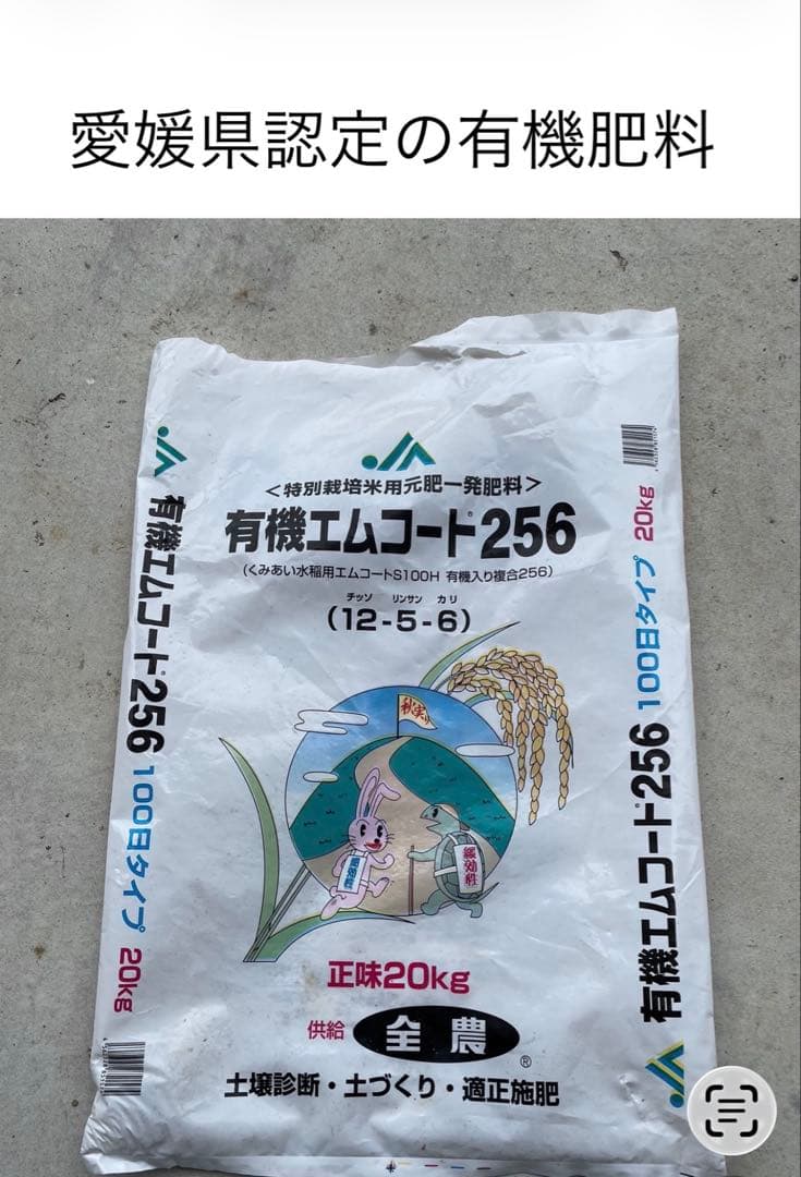 令和7年度愛媛県産コシヒカリ10k 特別栽培米　エコえひめ(一等米)