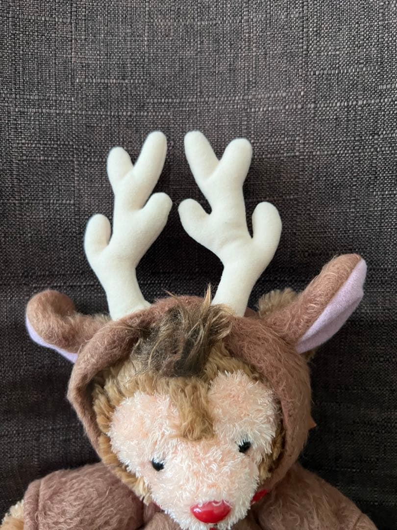 ディズニーワールド　レアダッフィー