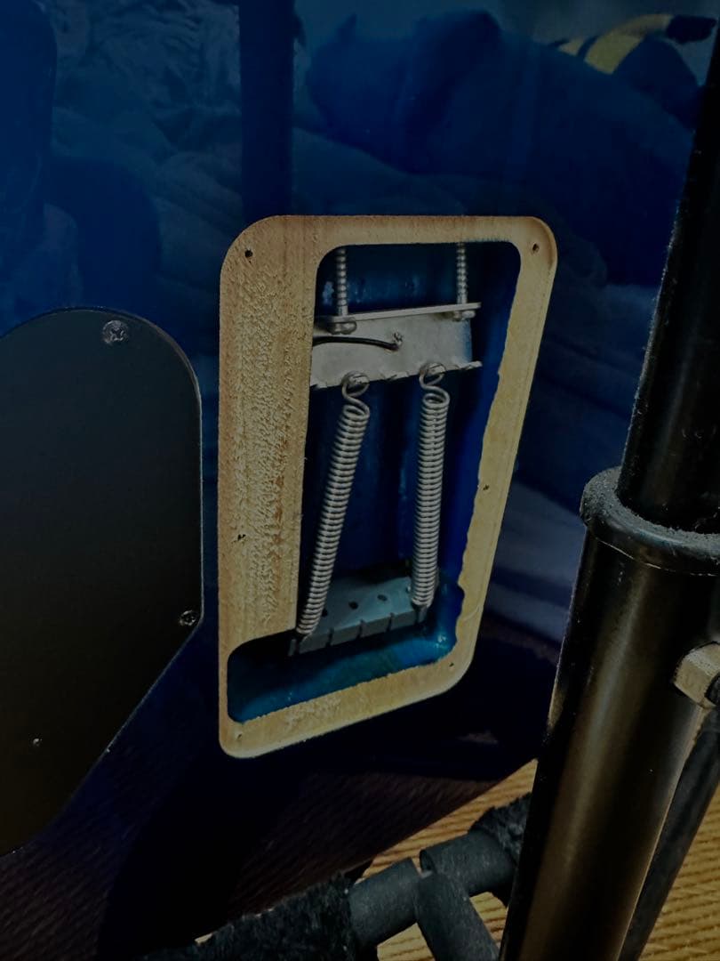 ギター EVH Wolfgang Standard Northern Lights