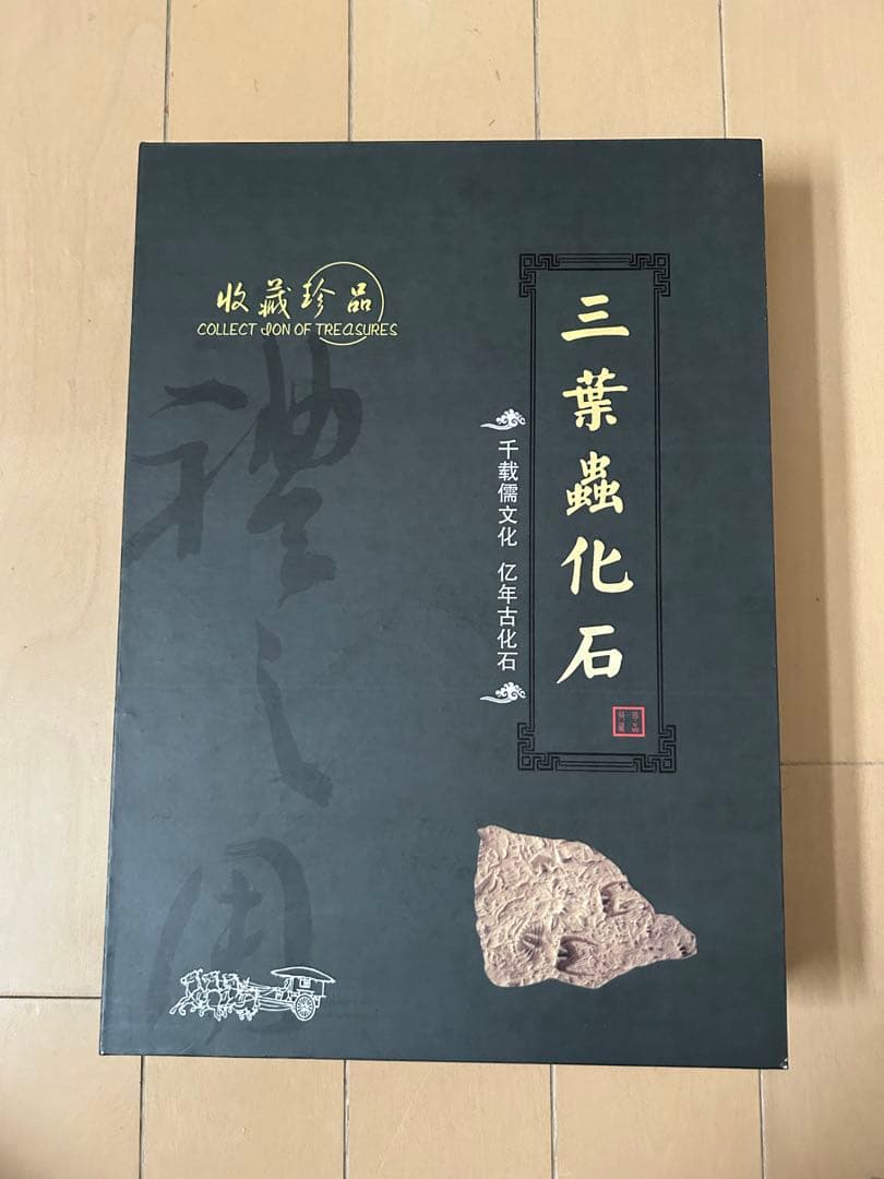 三葉虫化石　山東省