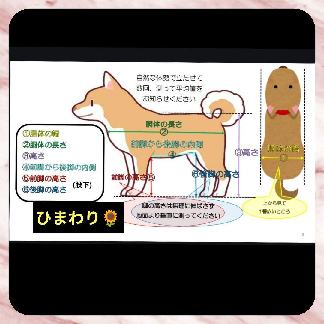 ワンちゃん4輪　リハビリ　食事補助　犬用車椅子　シニア犬補助　犬の歩行器