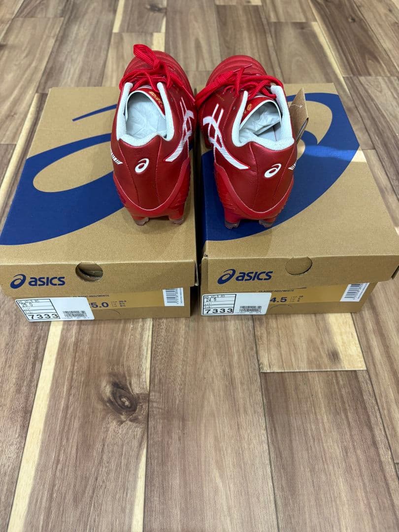 アシックスdsライトエックスフライ5 右足25.0cm左24.5cm