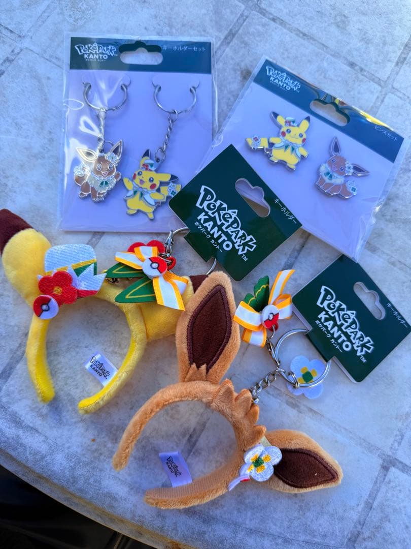ポケパークカントー 数量限定 ポケモン ピカチュウ イーブイ キーホルダー