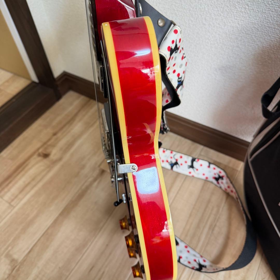 【美品】エレキギターエピフォン　Dot CH ソフトケース付