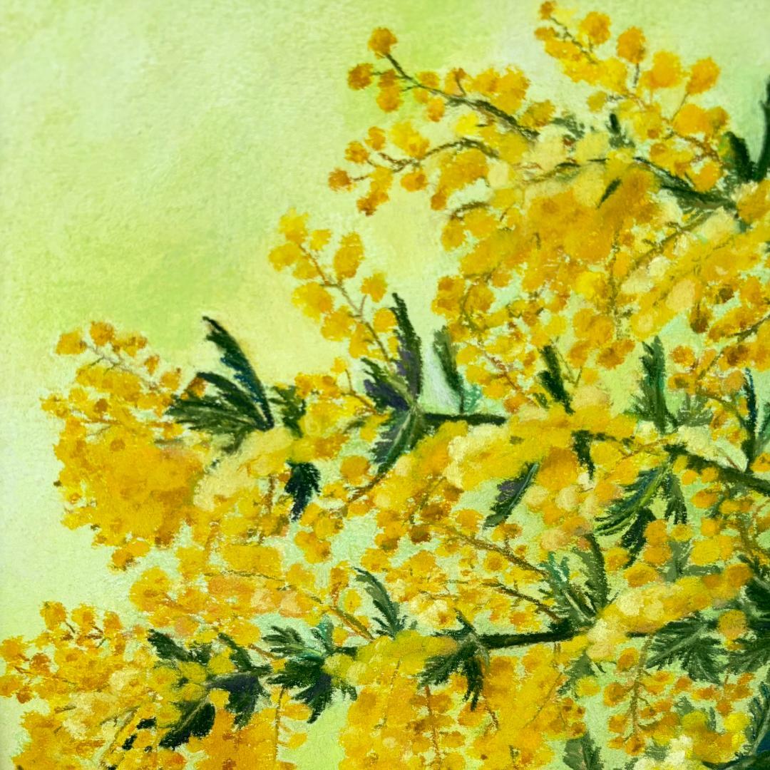 パステル画「ミモザ」（額付き）