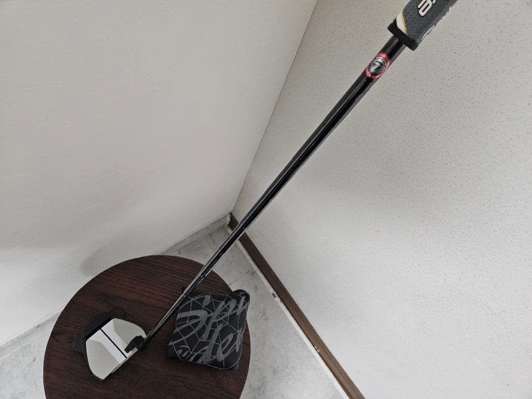 ☆値下げ☆超美品☆Spider（スパイダー） GTx Truss TM1