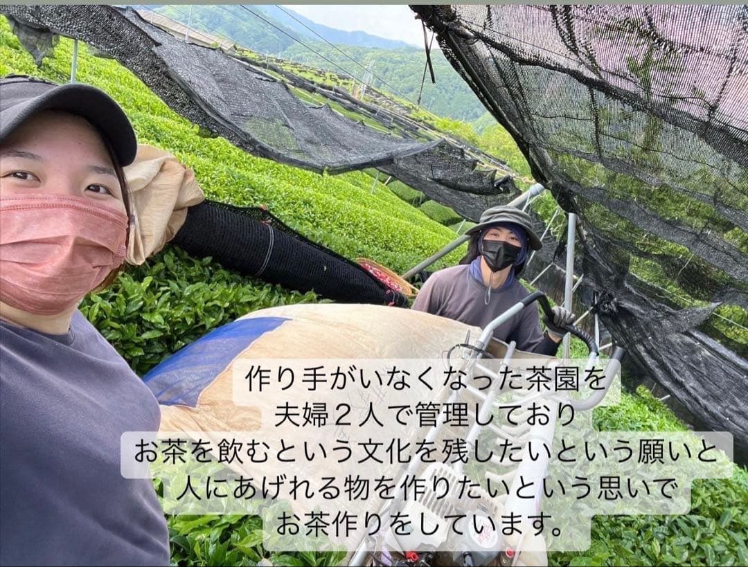 【お茶】日本の紅茶！便利な個包装スティック100本入り！溶かすだけ簡単パウダー