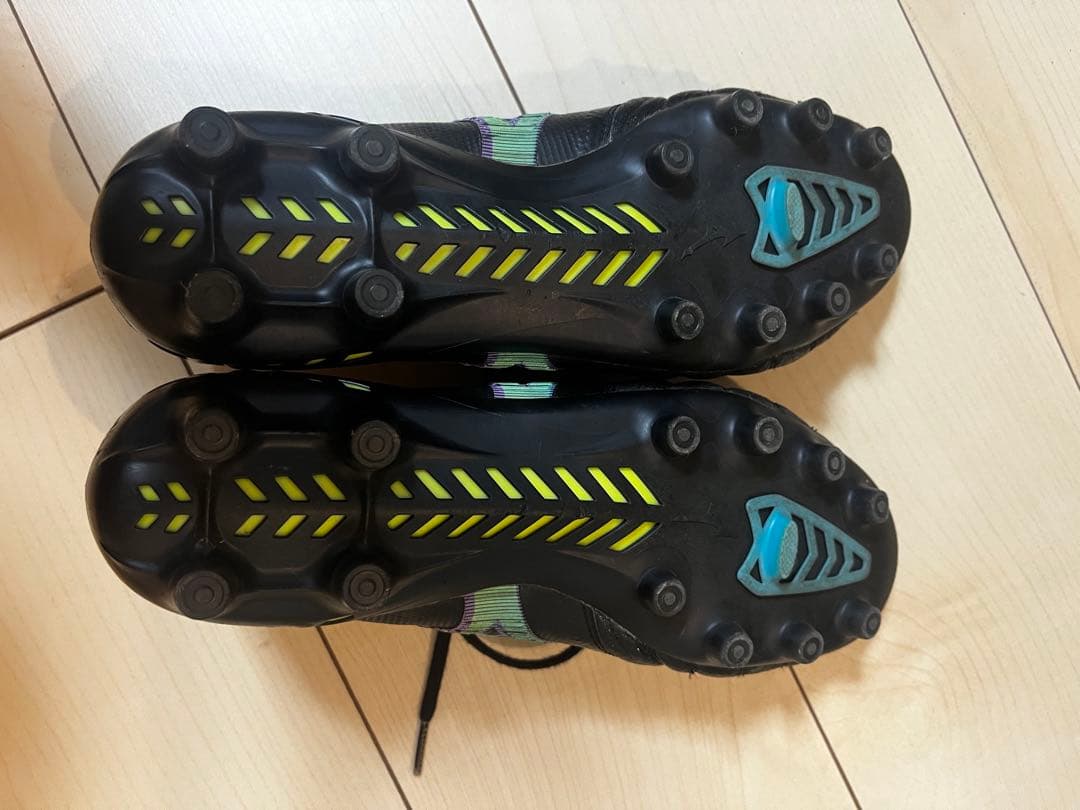 モレリアネオ3β